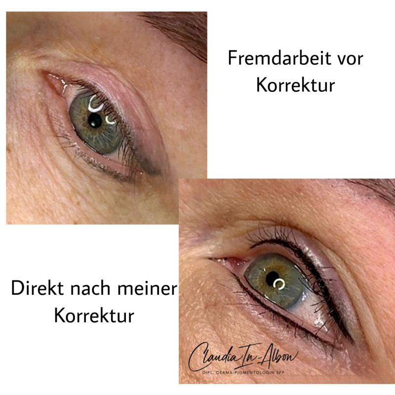 Galerie Bild